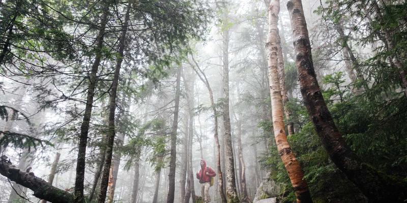 Bariloche: la "Suiza argentina" donde los Andes se reflejan en el lago Nahuel Huapi