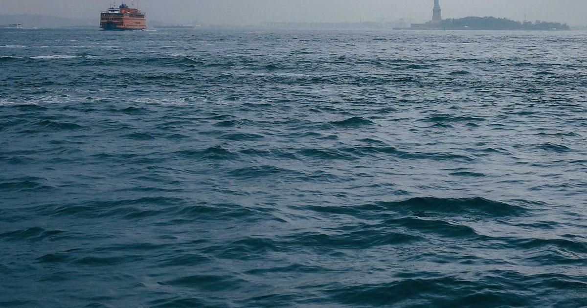 Brasil en PortalChat: cómo el español se convierte en puente entre dos gigantes