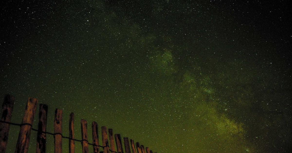 Inteligencia artificial y empleo: los puestos que más crecen entre los hispanos