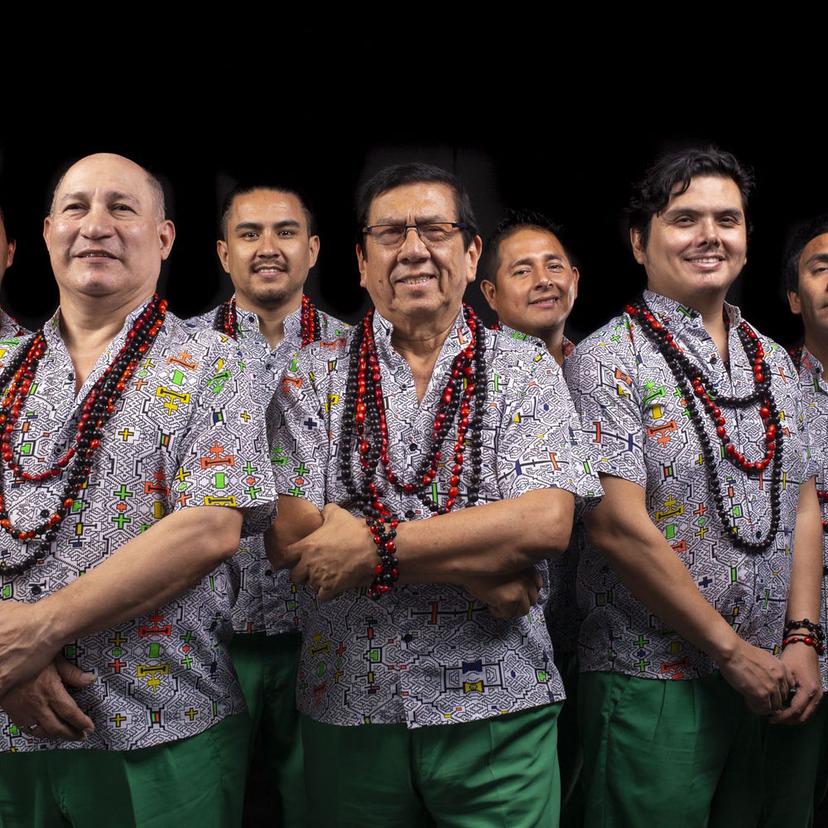 Los Mirlos, selva verde de mi corazón — chicha psicodélica