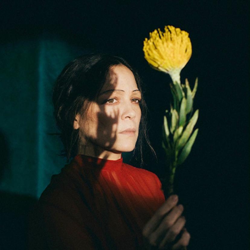 Natalia Lafourcade, hasta la raíz — cantautora pop folk mexicana