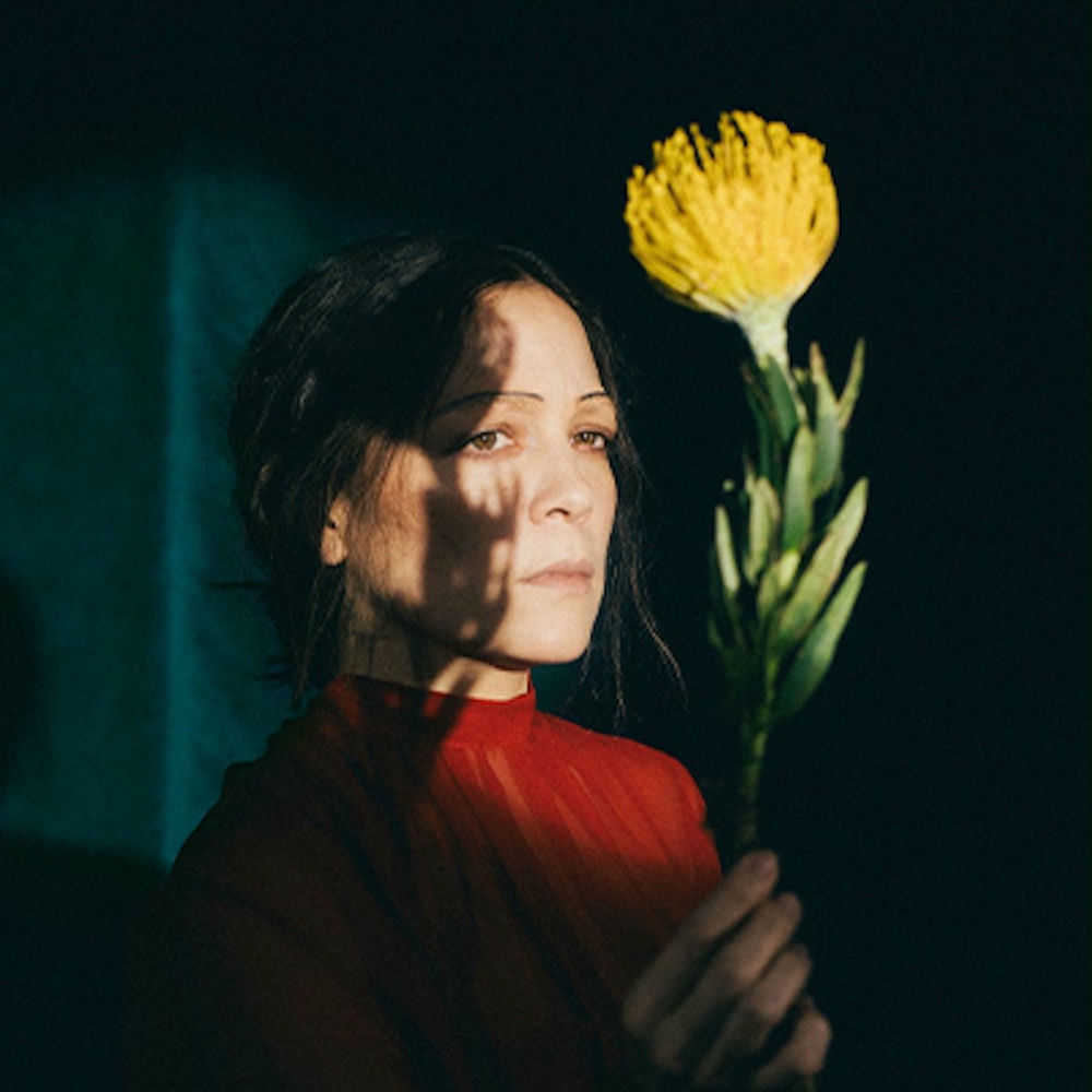 Natalia Lafourcade, hasta la raíz — cantautora pop folk mexicana