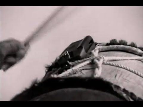 Miniatura del vídeo de Cumbia del Monte de Carlos Vives